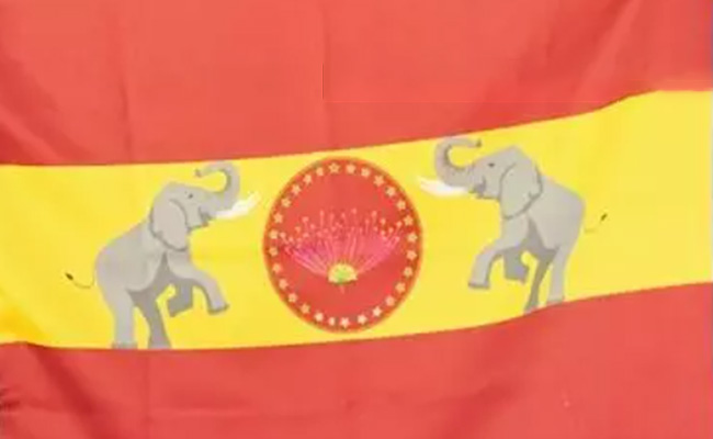 TN Assembly elections: Eight-month pregnant homemaker wins Thiru Vi Ka Nagar seat for TVK